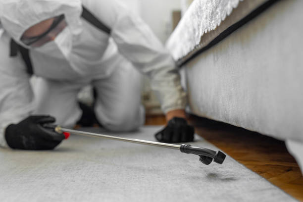Professional Bed Bug Control technician working in Livingston County County, IL